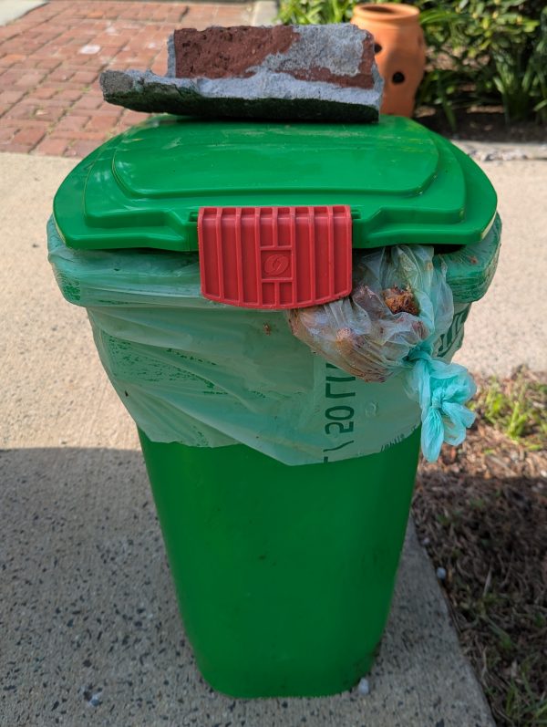 Green compost bin NOT secured with black buckle strap system to prevent animal access
